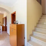 Eirene Vila Drivenik